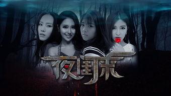 夜在线观看,揭秘网络世界的光影盛宴